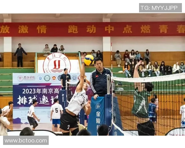 南京排球队团队协作的力量与精神探索排球竞技中的默契与合作