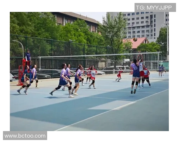 北京排球队战术创新引领排球新潮流排名飙升至新高