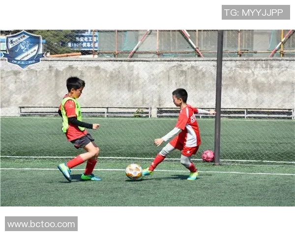 深圳排球队转型之路：从传统强队到新兴力量的全面解析