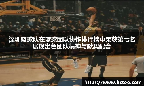 悟空·体育平台